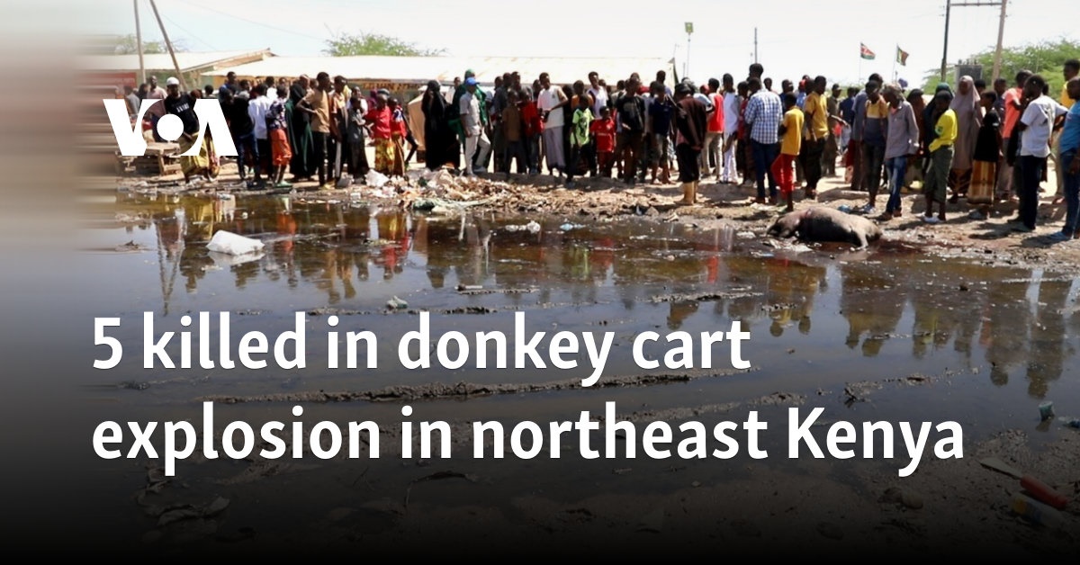 5 killed in donkey cart explosion in northeast Kenya