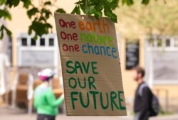 A sign hung by activists of the Fridays for Future movement is seen on a tree in Erfurt, Germany, April 24, 2020.