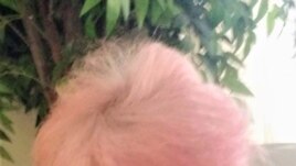 Rebecca Oxford, Ph.D., Professor Emeritus and Distinguished Scholar-Teacher at University of Maryland