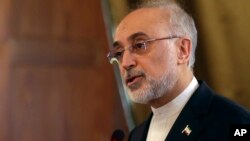 Direktur Organisasi Energi Atom Iran, Ali Akbar Salehi 