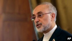 Kepala Badan Urusan Nuklir Iran, Ali Akbar Salehi. (Foto: dok).