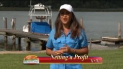 Buenos Días América