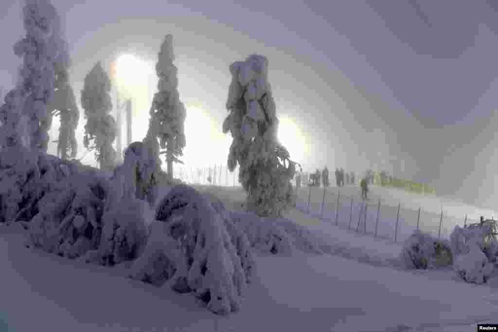 Finlandiya - Kittila, Levi Ski-da FİS çempionatı &nbsp;