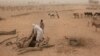 Pemerintah Afrika Didesak Tambah Dana untuk Air Bersih