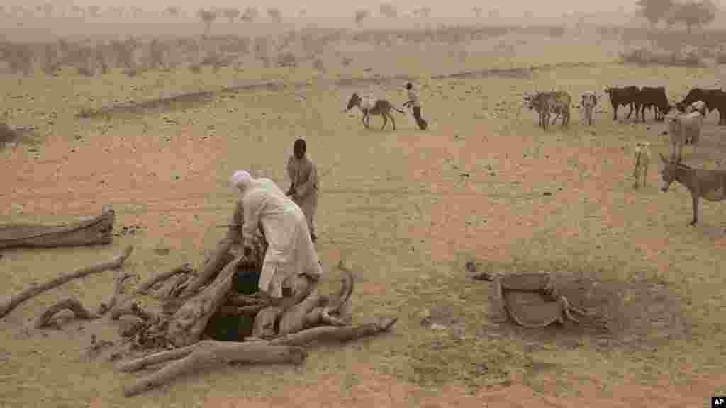 Des Tchadiens utilisent un âne pour tirer de l&#39;eau, dans un oued près de Tchyllah, au Tchad, le 19 avril 2012.
