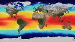 A global map of average Sea Surface Temperature.