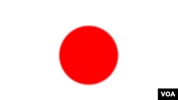 MH 370 japan flag