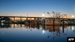 Fishing boats are docked late in the evening on the Mississippi River in Empire, Louisiana, on Oct. 16, 2023.