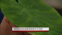 新型防水防油喷漆有望不久问世