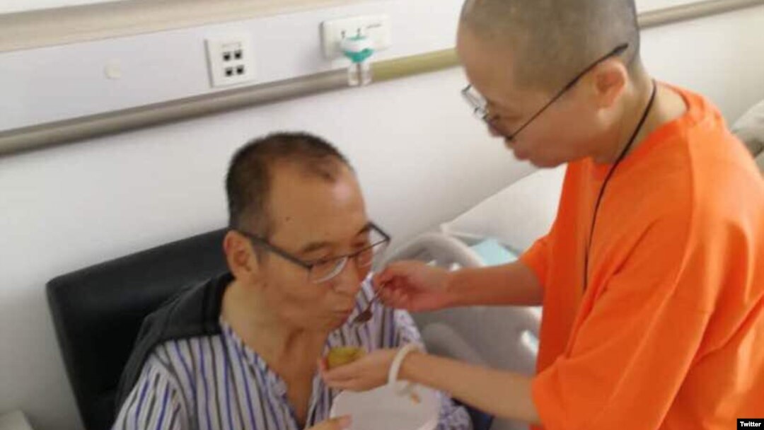 Mantan istri Liu Xiaobo, Zeng Jinyan (Foto: dok).