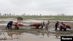 Relatives carry the bodies of civilians killed in air strikes during a battle between Iraqi forces and Islamic State militants, in Mosul, Iraq, March 17, 2017.