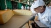 Judges say Swiss cheeses are difficult to get right, in part because the holes – called the “eyes” – have to be perfectly formed on the inside, seen at the U.S. Cheese Championship in Green Bay, Wis., March 5, 2019.