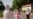 North Korea Faces Worsening Economic Woes amid COVID Lockdown