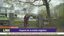 Impact de la traite négrière