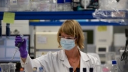 A lab technician works during research on coronavirus, COVID-19, at Johnson & Johnson subsidiary Janssen Pharmaceutical in Beerse, Belgium, Wednesday, June 17, 2020. Janssen Pharmaceutical hopes to begin clinical trials on a potential vaccine for…