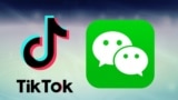 TikTok和微信徽标