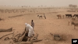 Des nomades dans le village de Tchyllah, Tchad, le 19 avril 2012.