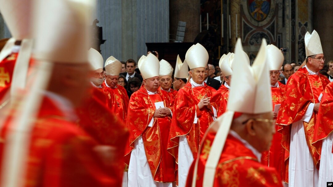 115 vị Hồng y tham dự một Thánh lễ đặc biệt trước khi rút vào nhà nguyện Sistine ở Vatican để cầu nguyện và thảo luận, ngày 12/3/2013.