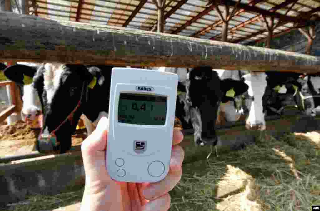 April 12: A radiation monitor indicates 0.41 microsieverts per hour at Mutsuo Mito's dairy farm in Shinchimachi, Fukushima Prefecture, northern Japan, about 50km from the tsunami-crippled nuclear reactor. (Reuters/Kim Kyung-Hoon)