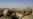 IS Vows More Attacks on Manbij