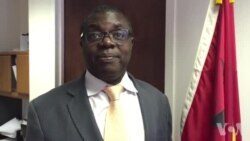 "Guiné precisa de estabilidade", João Soares da Gama