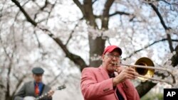 FILE - Brian Priebe of Cheverly, Md., right, plays his trombone with Jeff Reynolds of Sterling, Va., on the banjo, under a canopy of cherry blossoms in the Kenwood neighborhood of Bethesda, Md., March 26, 2020.