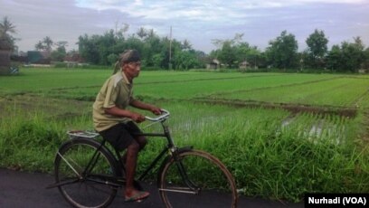 Yogyakarta Miskin Tapi Bahagia Dan Panjang Usia