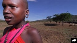 Seorang gadis etnis Masai di Kenya. Dalam budaya Masai, perempuan berada di posisi yang sangat lemah. 