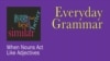 Everyday Grammar: When Nouns Act Like Adjectives