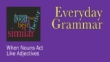 EG: Main - When Nouns Act Like Adjectives