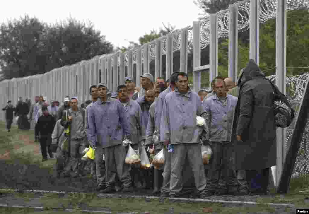 A gang of prison inmates worked Friday on the 3.5 meter high barrier along the full length of the&nbsp; Hungarian-Serbian border.