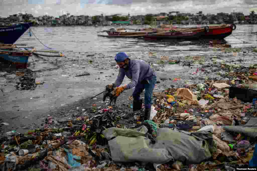 필리핀 마닐라의 파시그 강가에 쌓인 쓰레기를 자원 봉사자가 치우고 있다. 