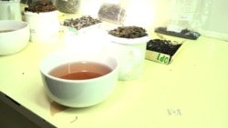 Kenya Branches Out Into Purple Tea