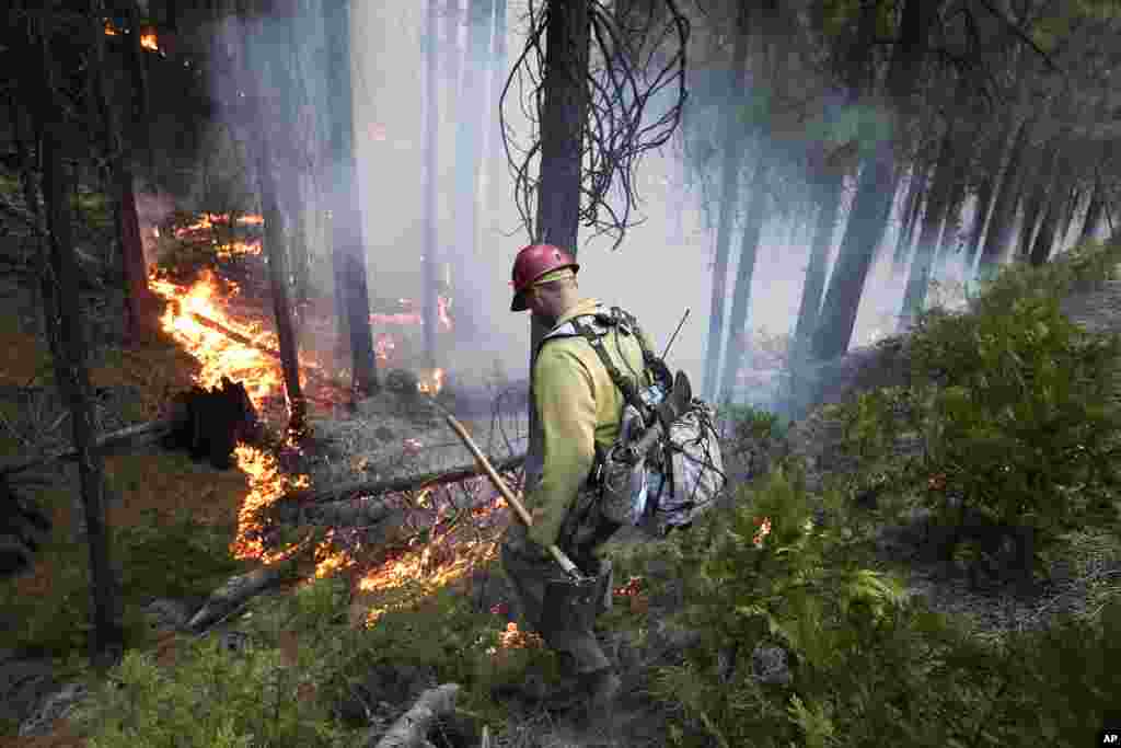 Firefighter Russell Mitchell monitors a back burn during the Rim Fire near Yosemite National Park, California, August 27, 2013.