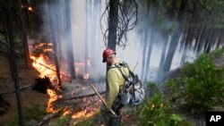Firefighter Russell Mitchell monitors a back burn during the Rim Fire near Yosemite National Park, California, Aug. 27, 2013. 