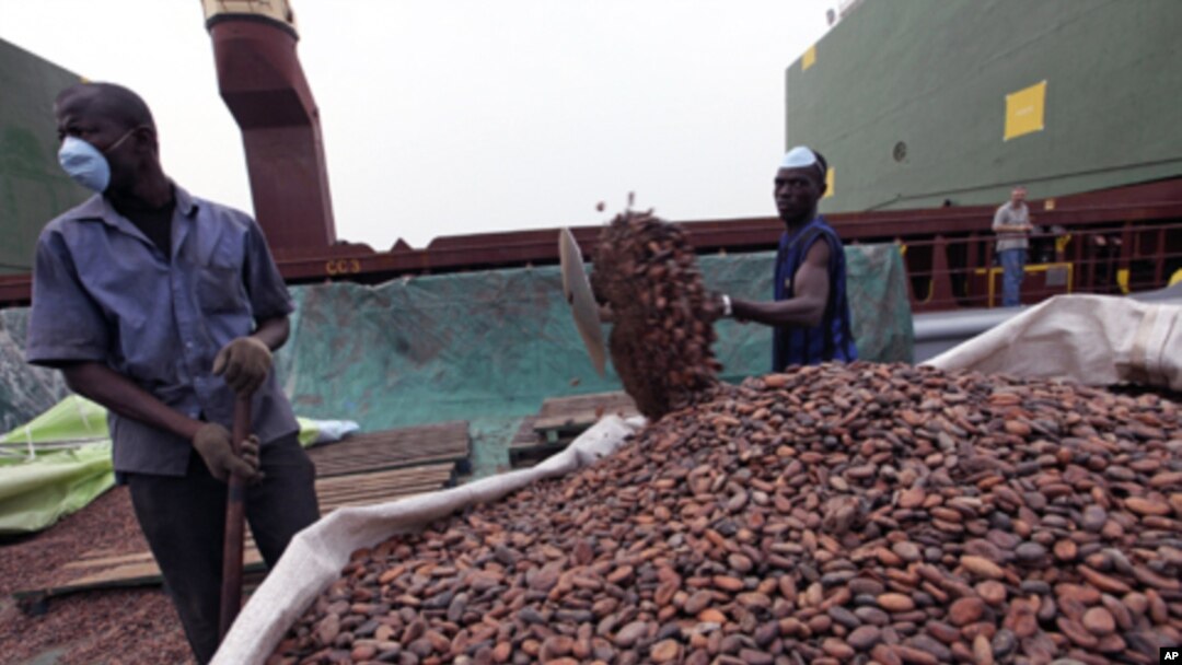 Workers gather bags of cocoa at the port of Abidjan. EU-registered vessels have been barred from all new financial dealings with Ivory Coast's two main cocoa-exporting ports, 17 Jan 2011
