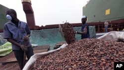 Workers gather bags of cocoa at the port of Abidjan. EU-registered vessels have been barred from all new financial dealings with Ivory Coast's two main cocoa-exporting ports, 17 Jan 2011