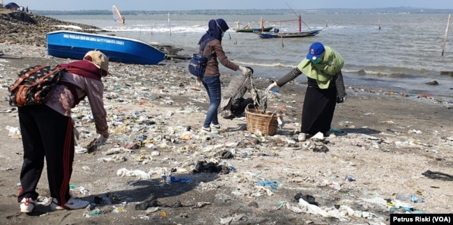 Para relawan memunguti sampah plastik yang banyak berserakan di pantai Kenjeran sisi timur Jembatan Suramadu (Petrus Riski/VOA)