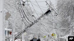 麻萨诸塞州纳提克一根在暴风雪中倒下的电线杆。