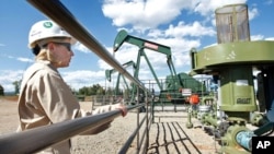 FILE - A BP Florida operations manager looks over a methane gas well site east of Bayfield, Colorado, Aug. 26, 2009.