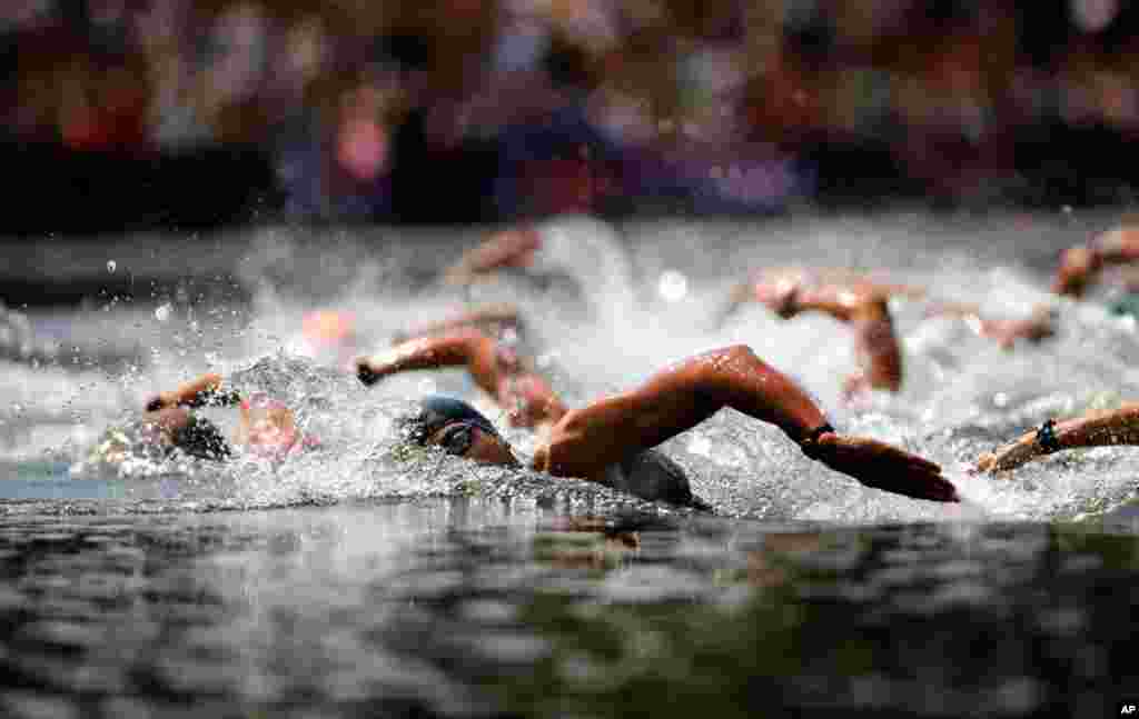 突尼斯的男子運動員梅盧里在10公里馬拉松游泳比賽中奮力游泳獲得金牌