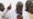 Armed Men in Military Uniform Raid Ghana Opposition Party HQ