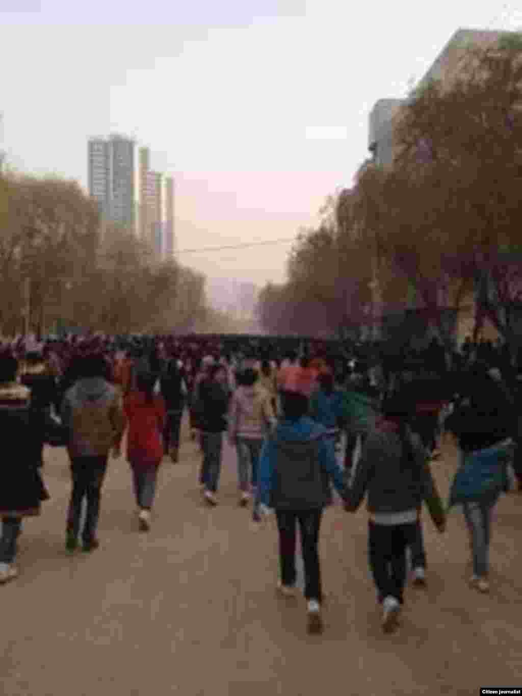 據報導數百甚至數千名藏人走上青海同仁街頭抗議。