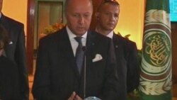 سفر وزير امورخارجه فرانسه به مصر