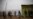COVID-19-Related Hunger, Disease Stalk World’s Poorest