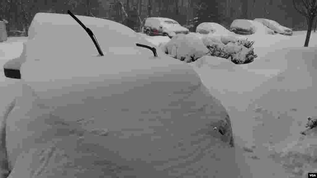 Cars buried in the snow in Alexandria, outside Washington DC, Jan. 23, 2016. (D. Block/VOA)