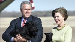 Джордж та Лора Буш зі своїми собаками Барні та Міс Бізлі, штат Техас