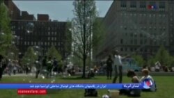 استفاده از حبابهای میکروسکوپی برای از بین بردن لخته های خون