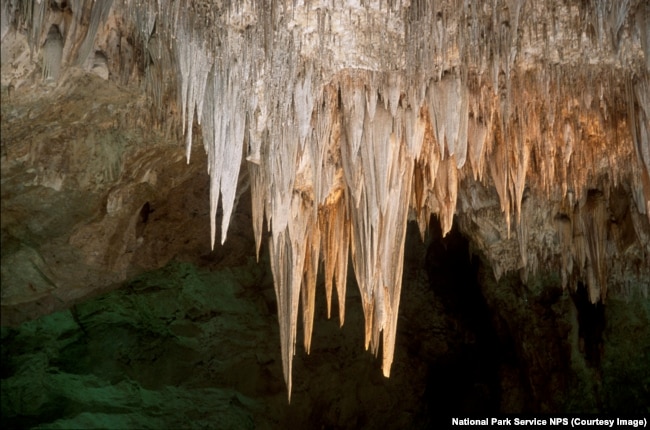 Hanging from the ceiling in the Big Room, the group of huge stalactites is known as the Chandelier.