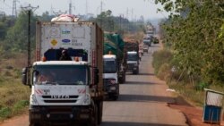 Le Cameroun suspend les exportations de céréales vers le Nigeria